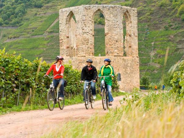 Blick durch den Wein